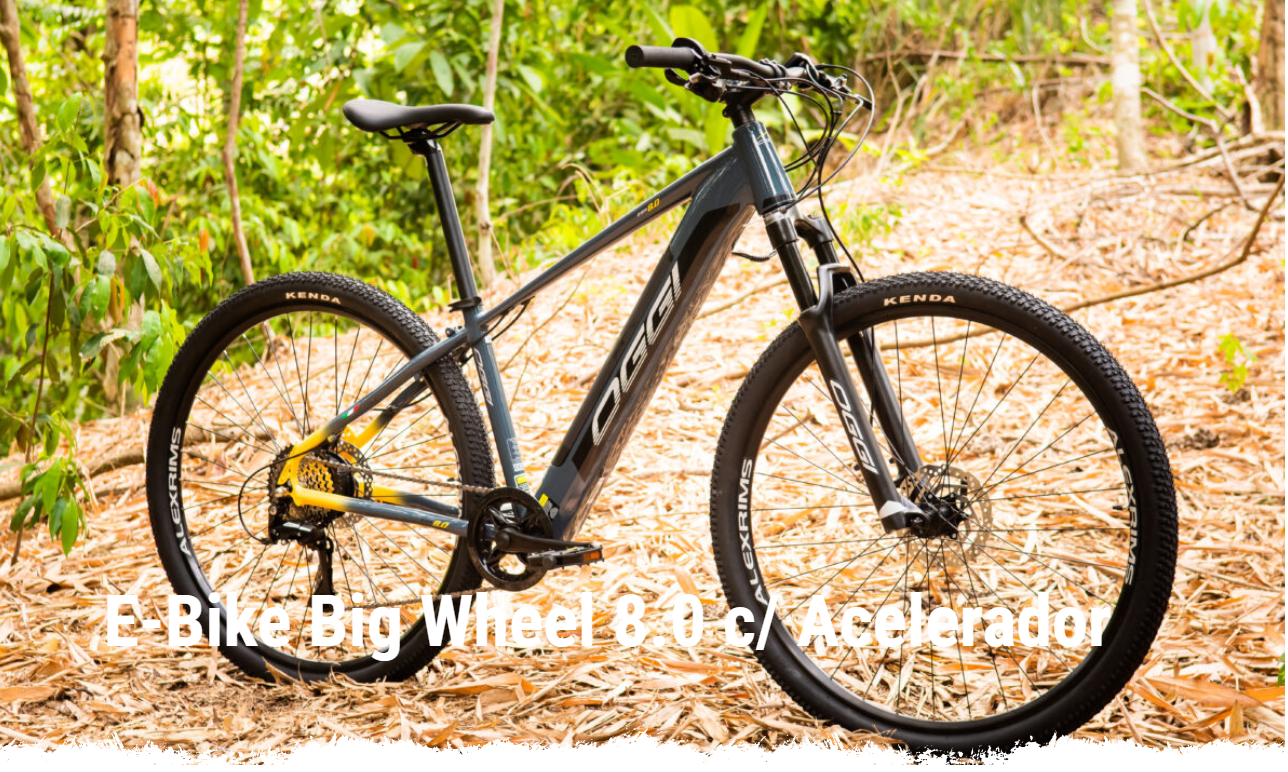 Big Wheel 8.0  Bike Elétrica